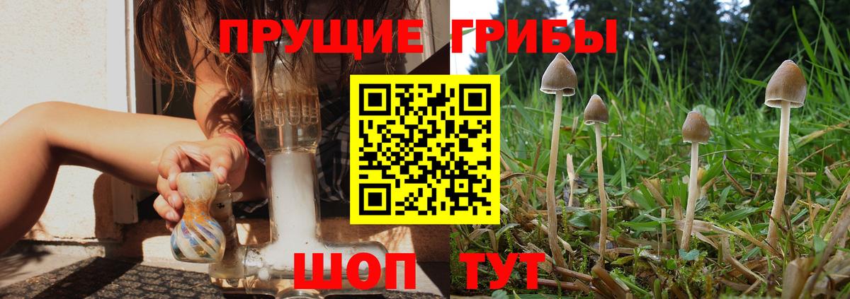 Галлюциногенные грибы ЛСД Гагарин