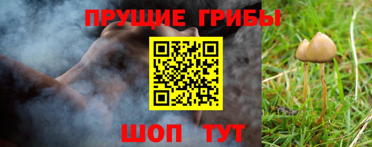 Псилоцибиновые грибы прущие грибы  Вход с VPN  Гагарин 
